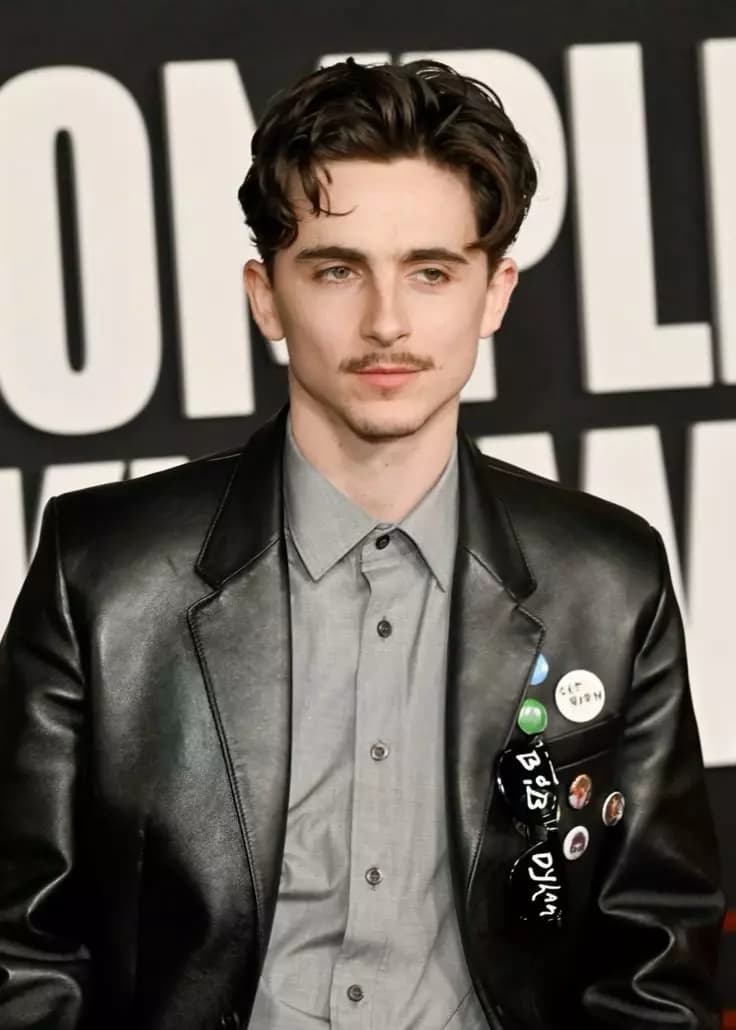 Timothee Chalamet thumbnail