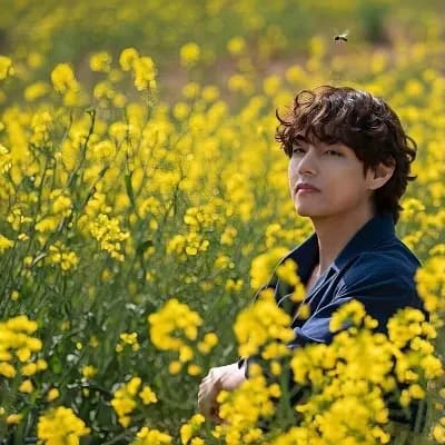 Taehyung thumbnail