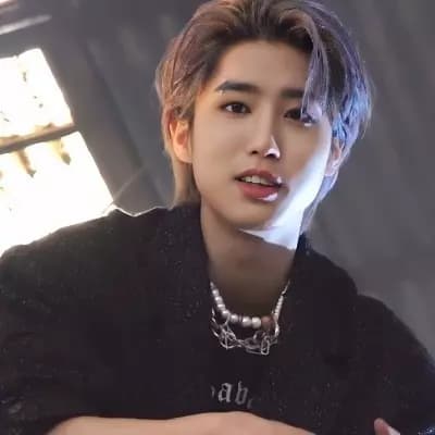 Stray Kids Alphas (Lee Minho, Lee Felix, Hwang Hyunjin, Yang Jeongin.) thumbnail