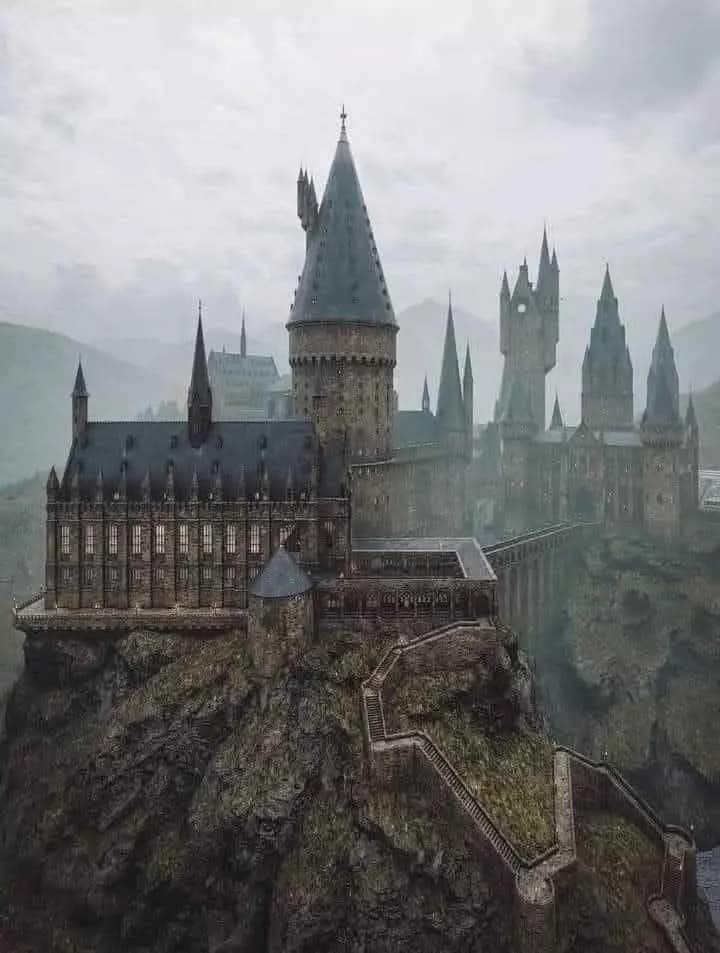 The Three Wizards Cup! thumbnail