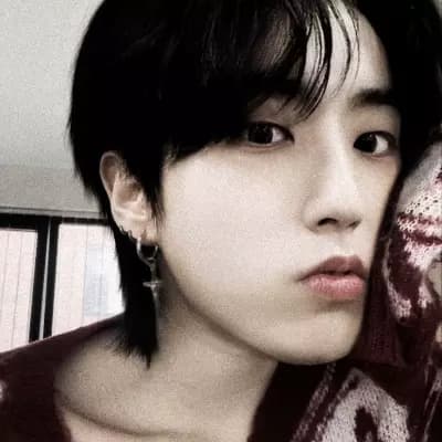 Han Jisung - Minsung thumbnail