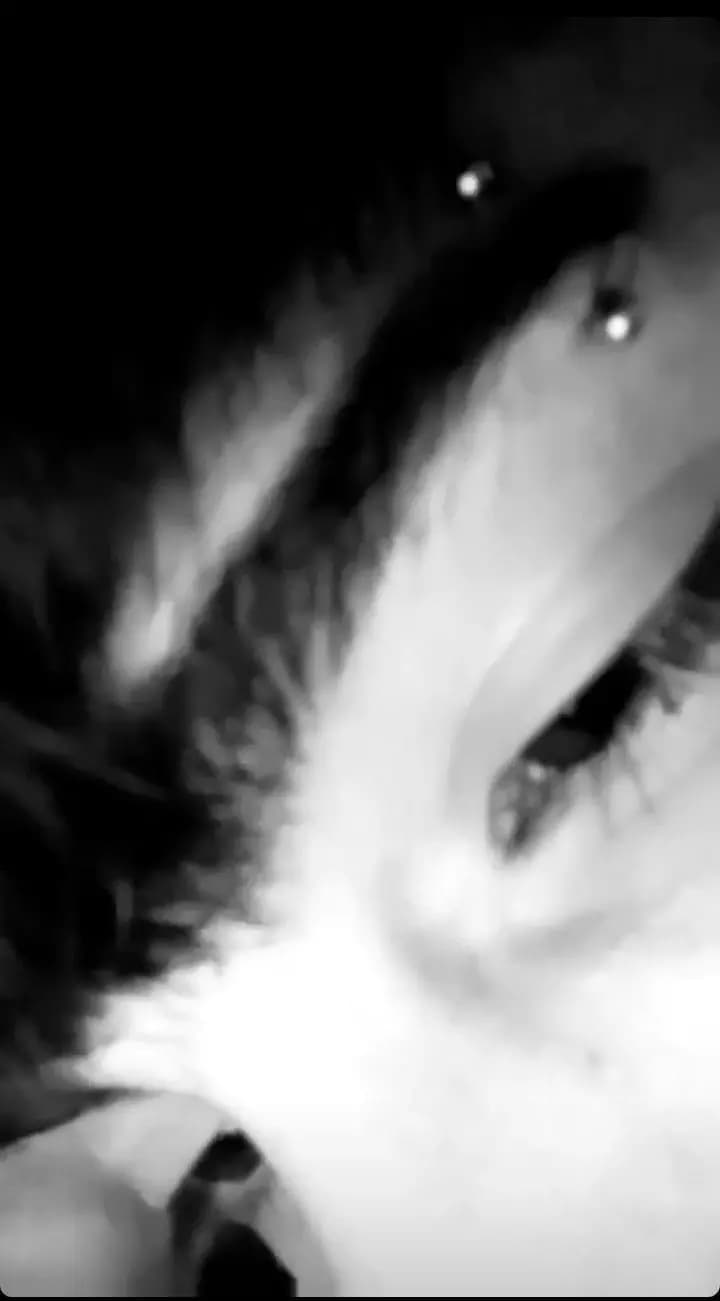 Théo thumbnail