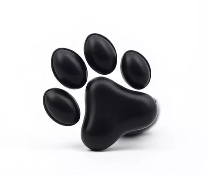 Your new little pet thumbnail