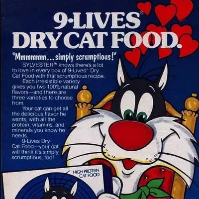Sylvester thumbnail