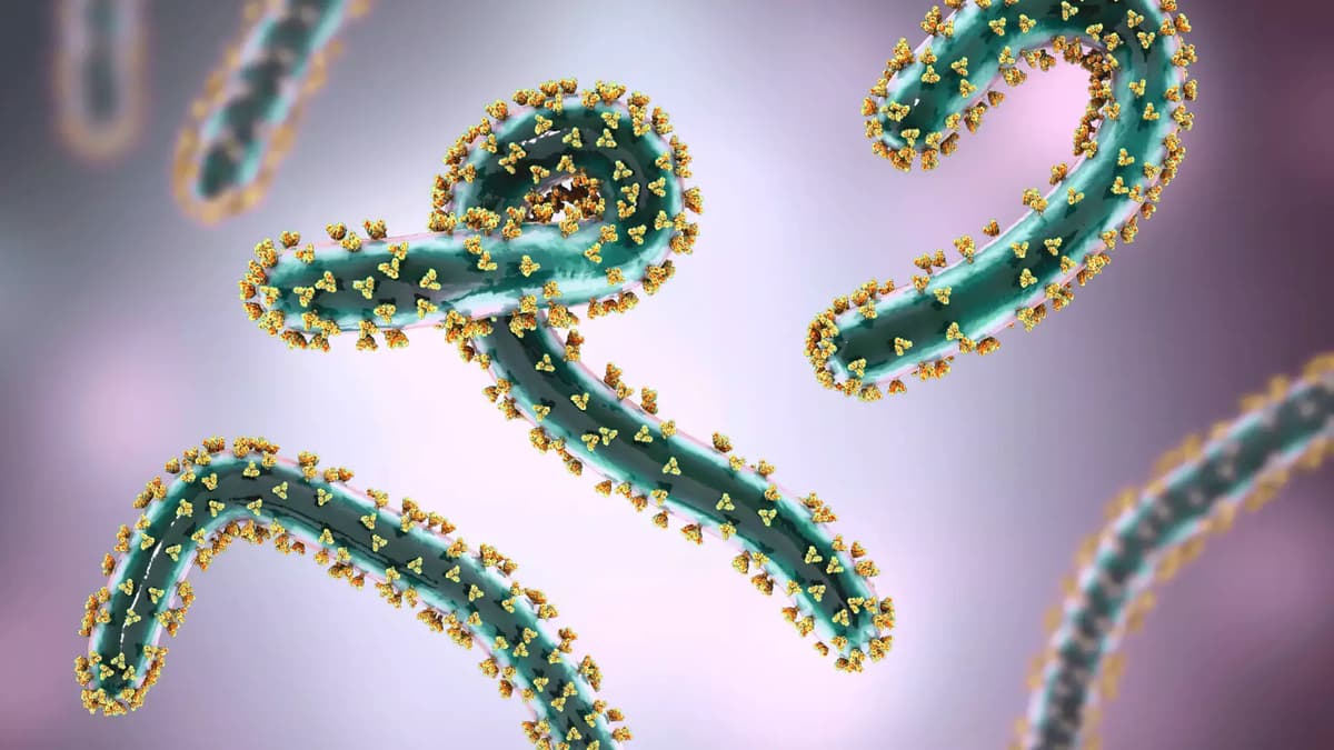 Virus thumbnail