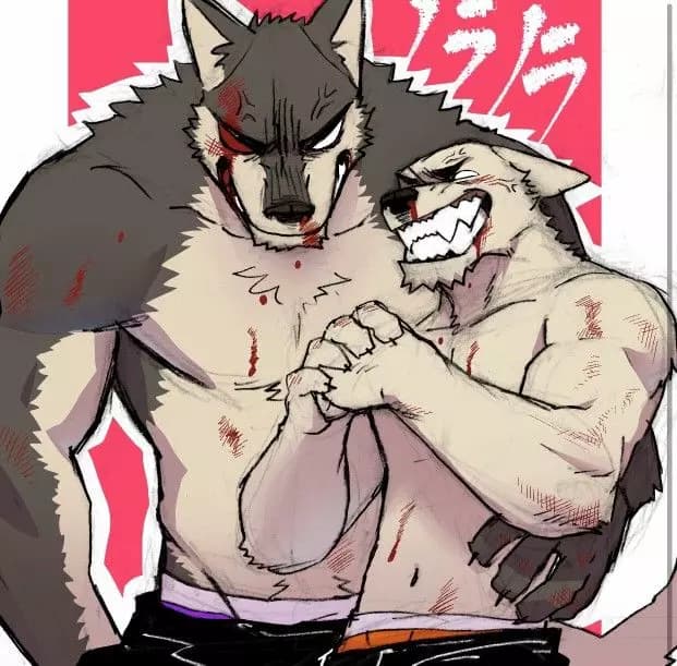 Tus amigos furrys gays  thumbnail