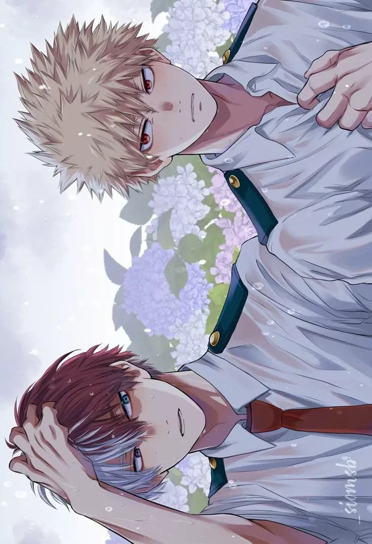 Bakugo Katsuki y shoto todoroki  thumbnail