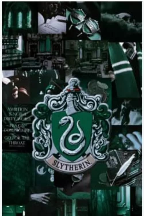 Chàng trai Slytherin thumbnail