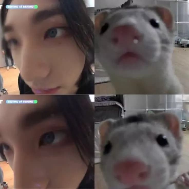 Hyunjin  thumbnail