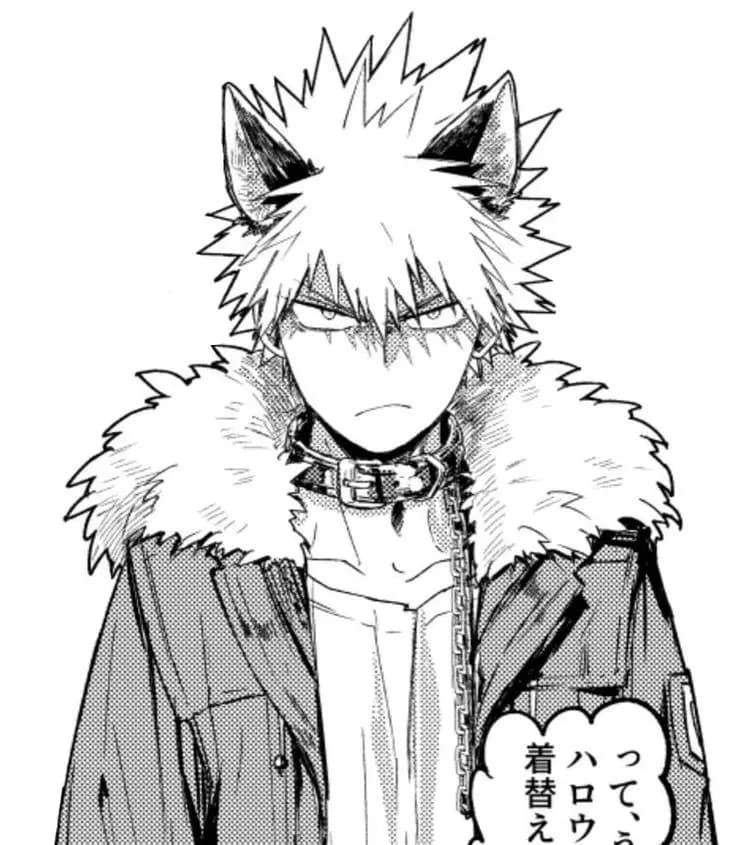 Katsuki Bakugou-lobo thumbnail