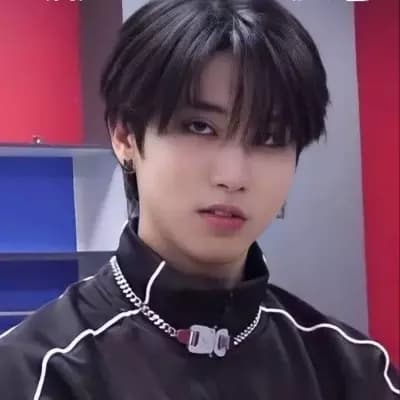 Stray Kids (Lee Minho, Lee Felix, Hwang Hyunjin, Yang Jeongin). thumbnail