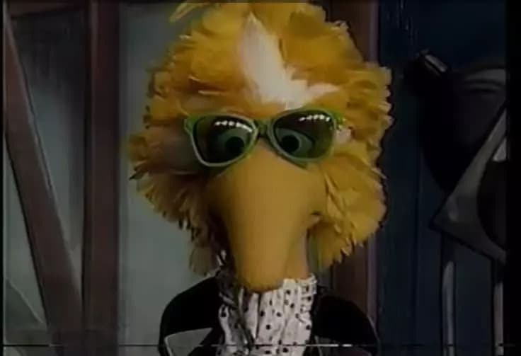 Big Bird - Garibaldo thumbnail