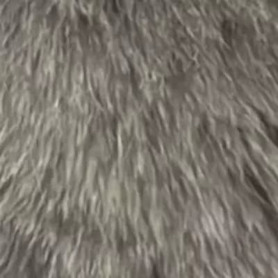 Adrian thumbnail
