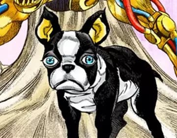 Iggy thumbnail