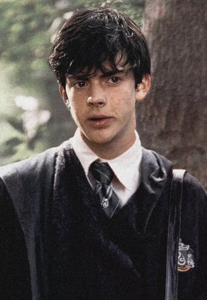 Edmund Pevensie thumbnail