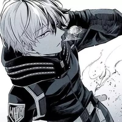 Shoto Todoroki thumbnail