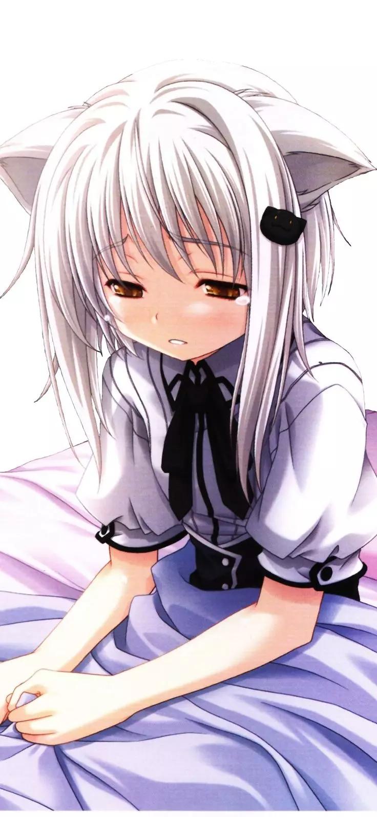 Koneko thumbnail