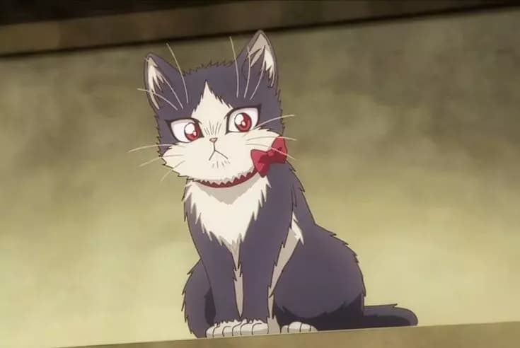 My roommate is cat (Haru) thumbnail