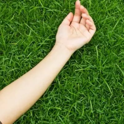 laying in the grass thumbnail