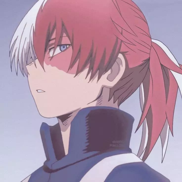 Shoto Todoroki thumbnail