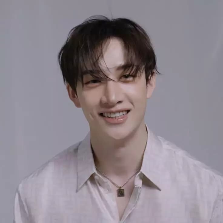 Bang Chan  thumbnail