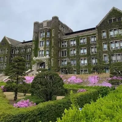 Nebula hight academy  thumbnail