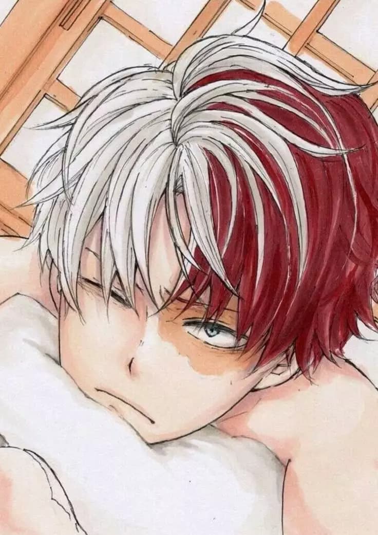 Shoto Todoroki - (GAY) (Omegaverse) thumbnail