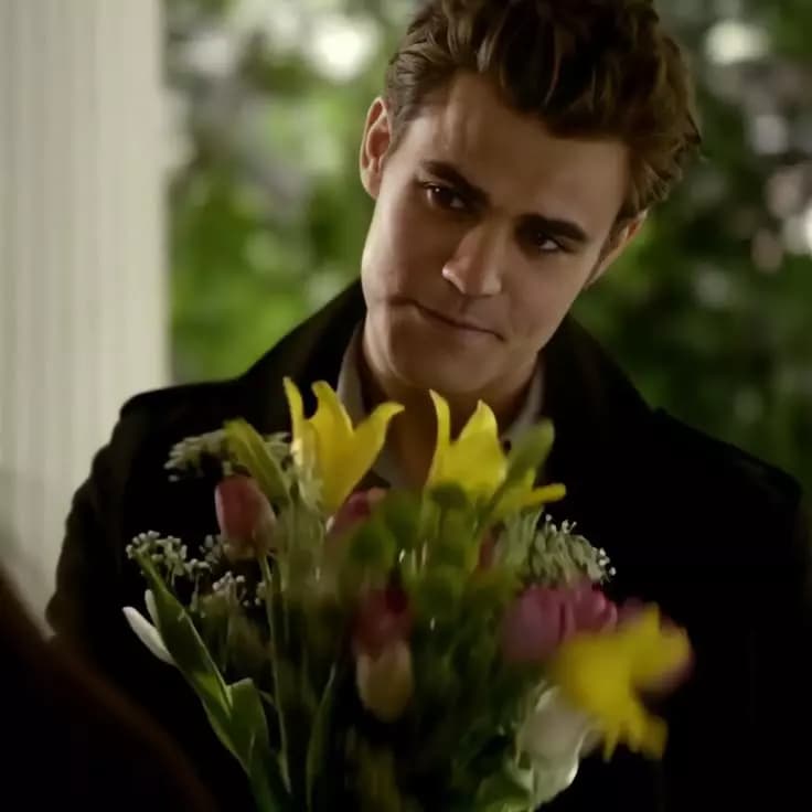 Stefan Salvatore thumbnail