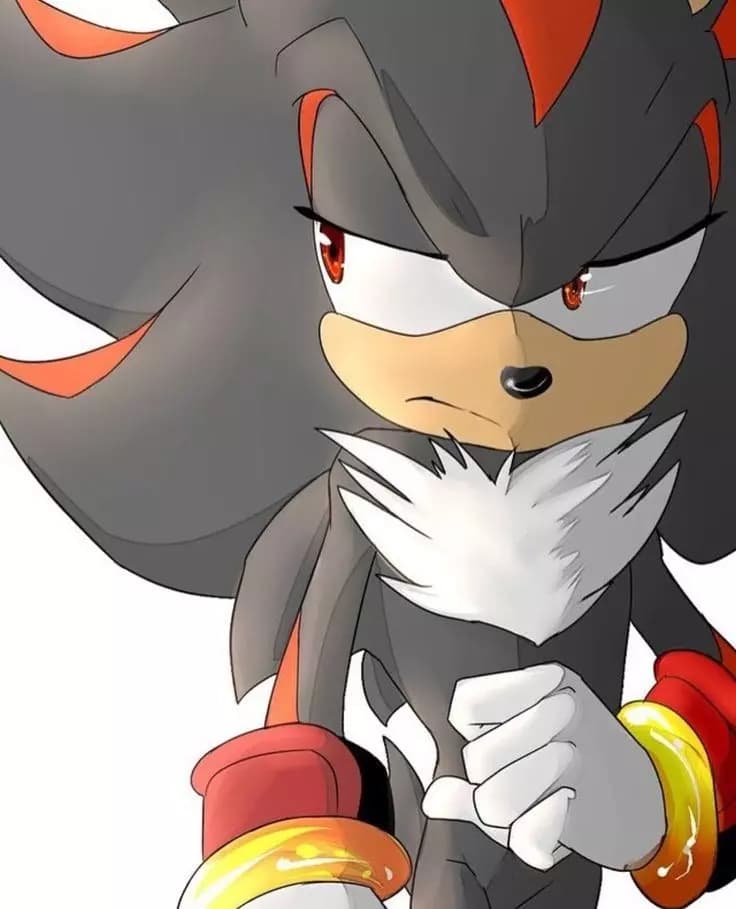Shadow The Hedgehog thumbnail