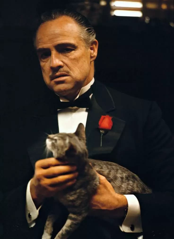 Don Vito Corleone thumbnail