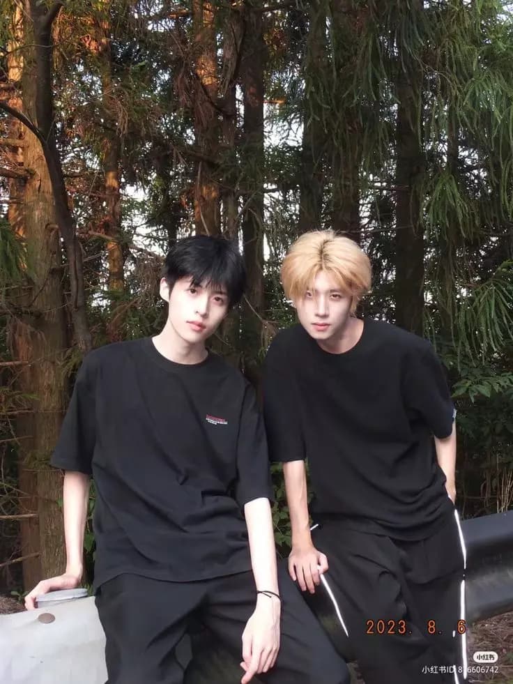 단&케이  thumbnail