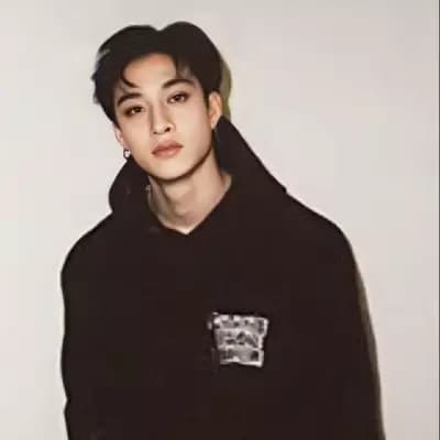 Bang Chan from Straykids (Chris) thumbnail