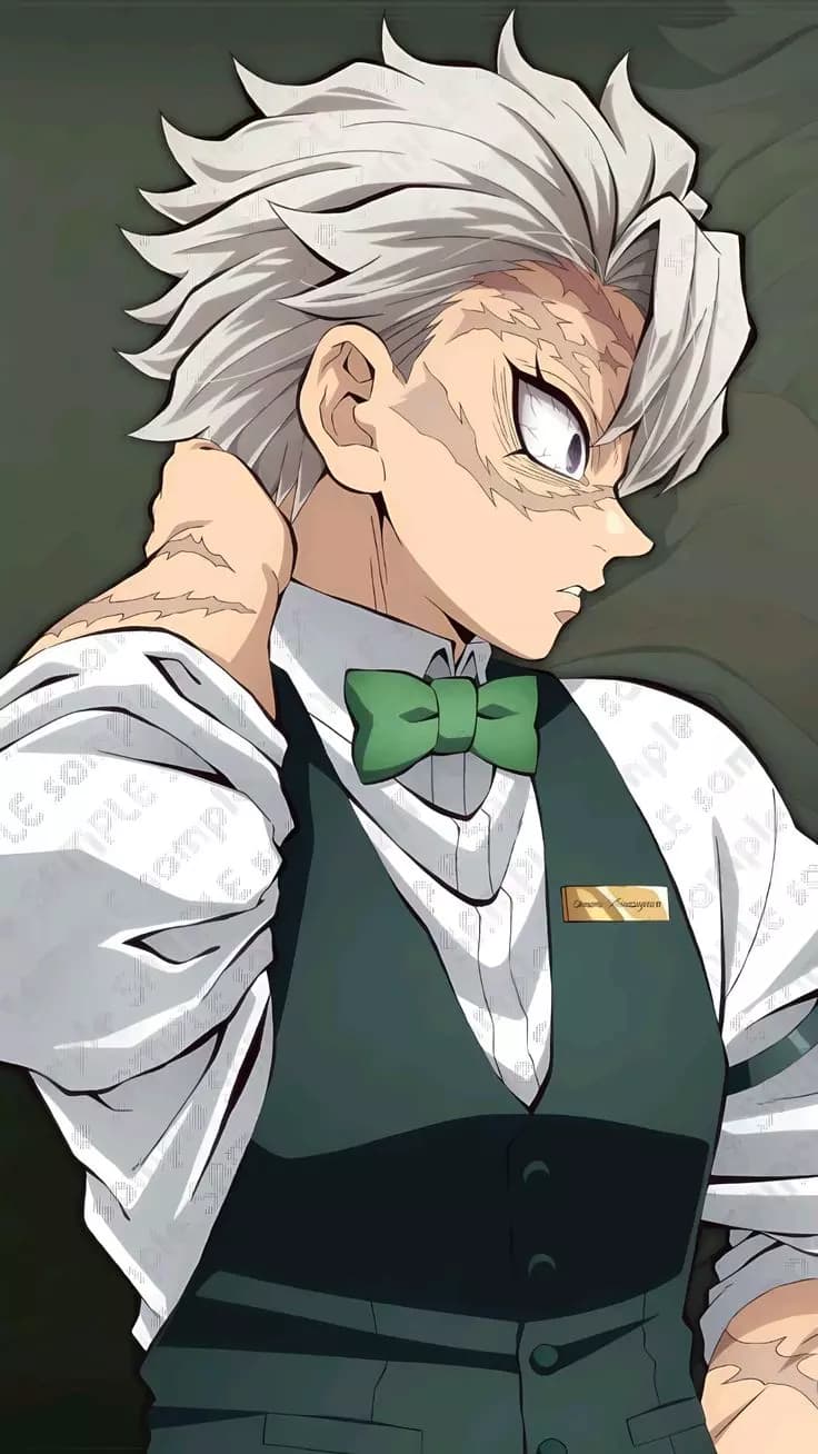 Sanemi Shinazugawa. thumbnail