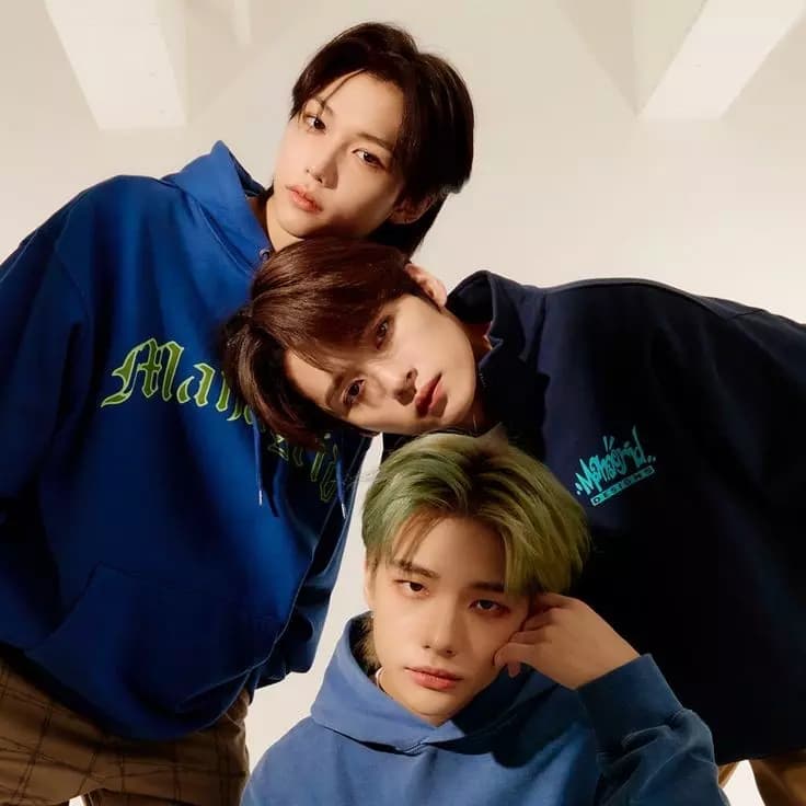 Minho - Stray Kids [BL/YAOI] thumbnail