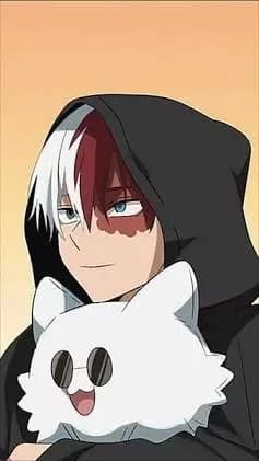 Shoto Todoroki  thumbnail
