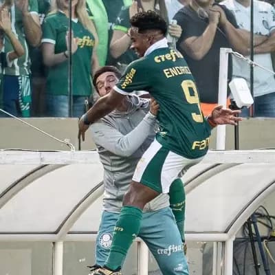 Grupo do Palmeiras thumbnail