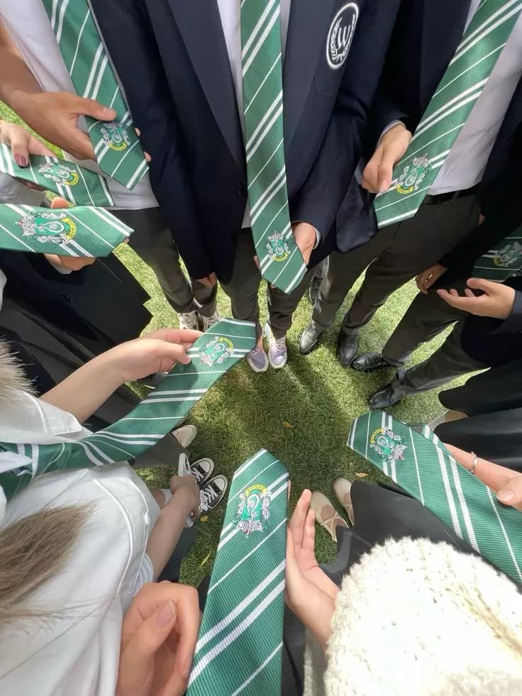 Slytherin Boys. thumbnail