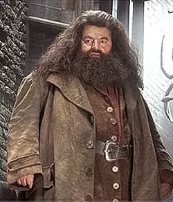 Rubeus Hagrid thumbnail