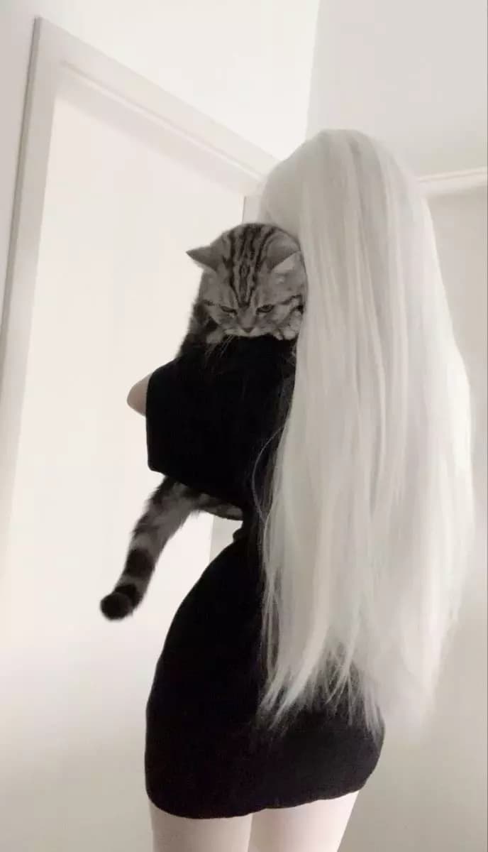 Narcissa thumbnail
