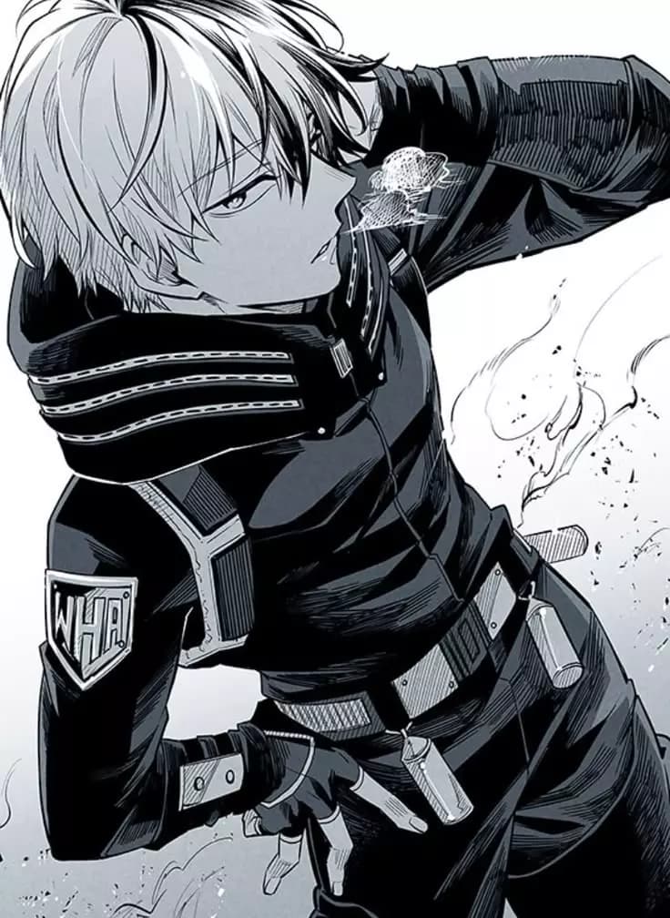 Shoto Todoroki thumbnail