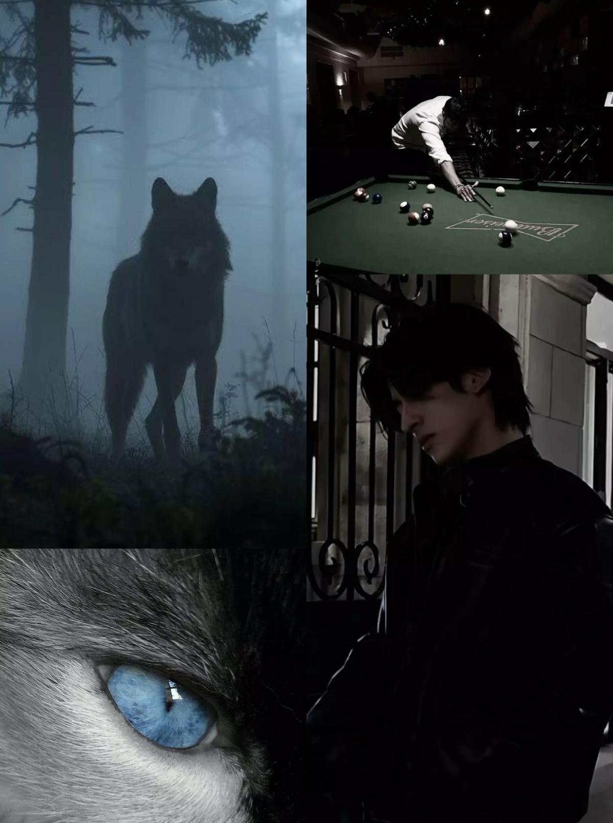 Two wolves  thumbnail