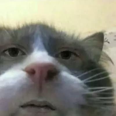 Roger thumbnail