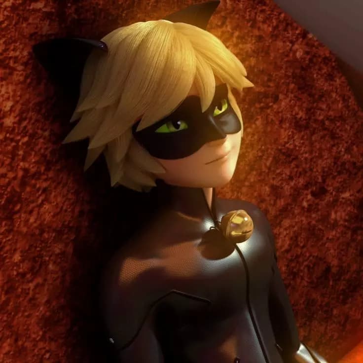 Cat noir thumbnail