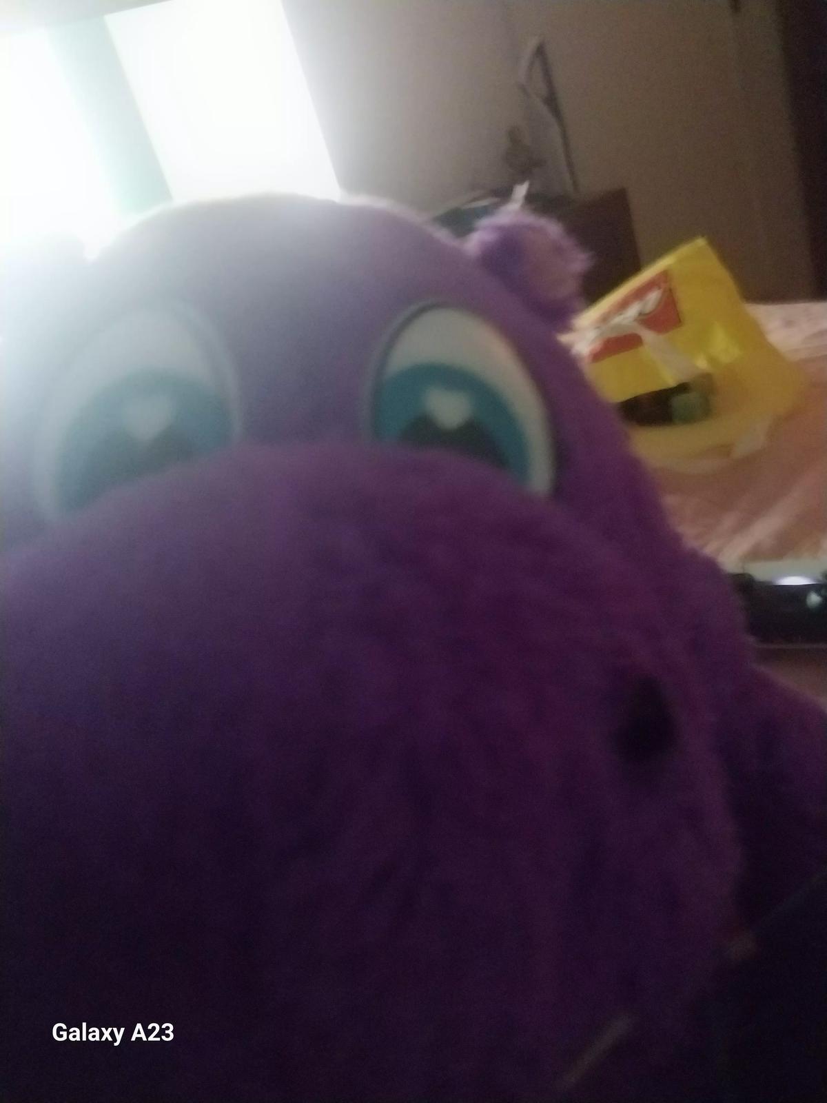 Pluto the king of hippos thumbnail