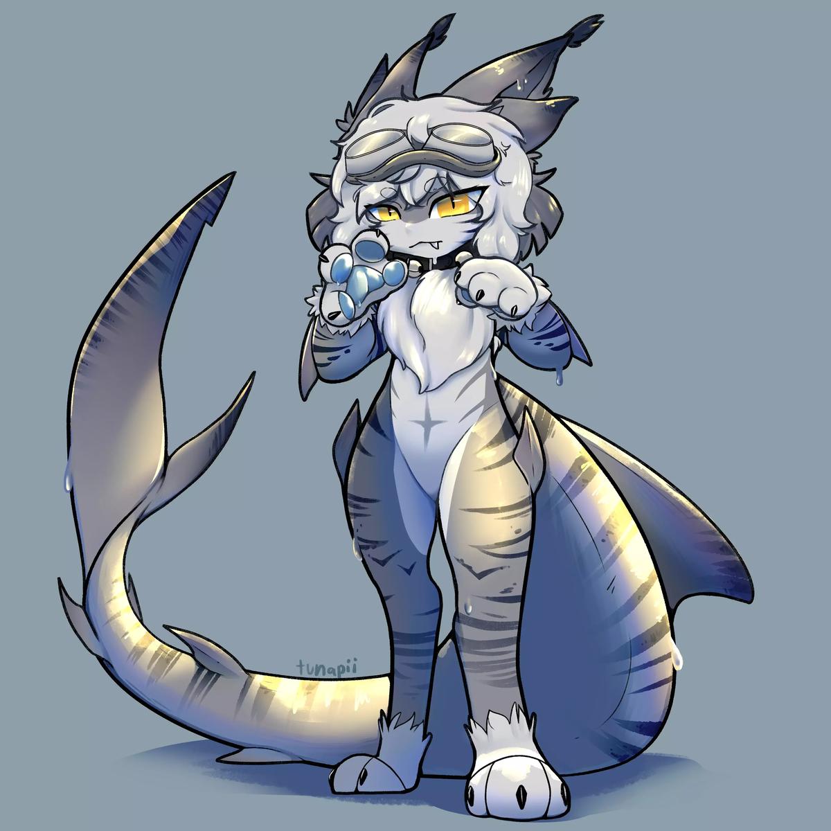Silva | Shark thumbnail