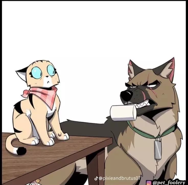 Pixie and brutus thumbnail