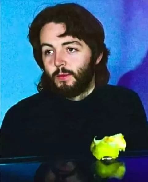 🍃 \*ೃPaul McCartney.⋆ 🩶 thumbnail