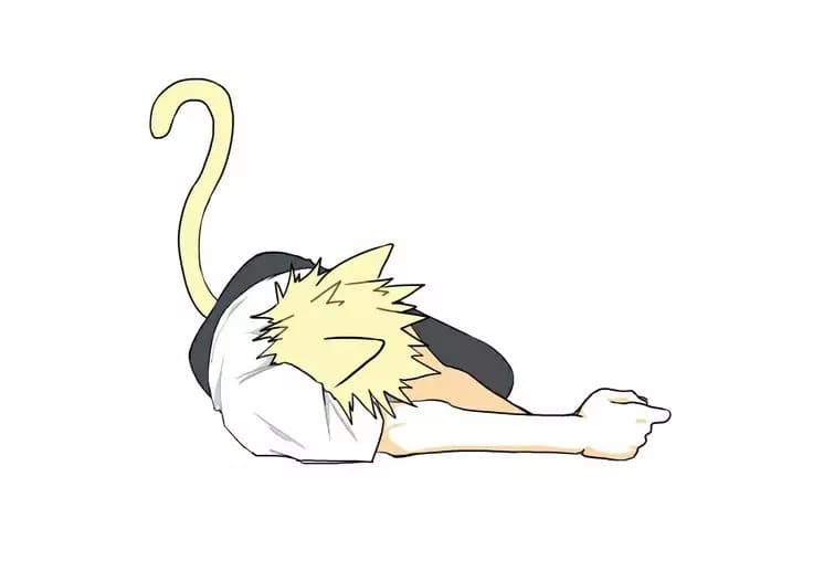 Katsuki Bakugou Gato. thumbnail