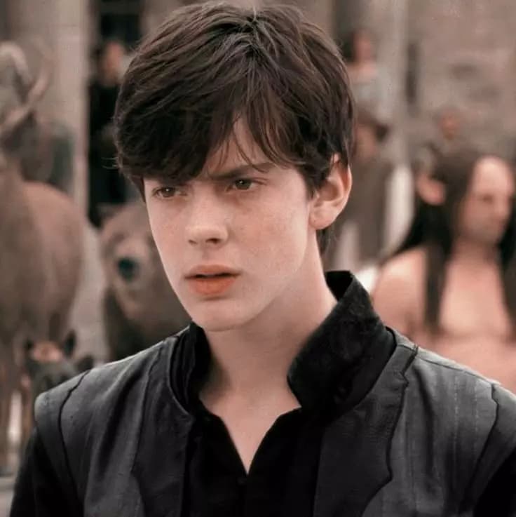 EDMUND PEVENSIE thumbnail