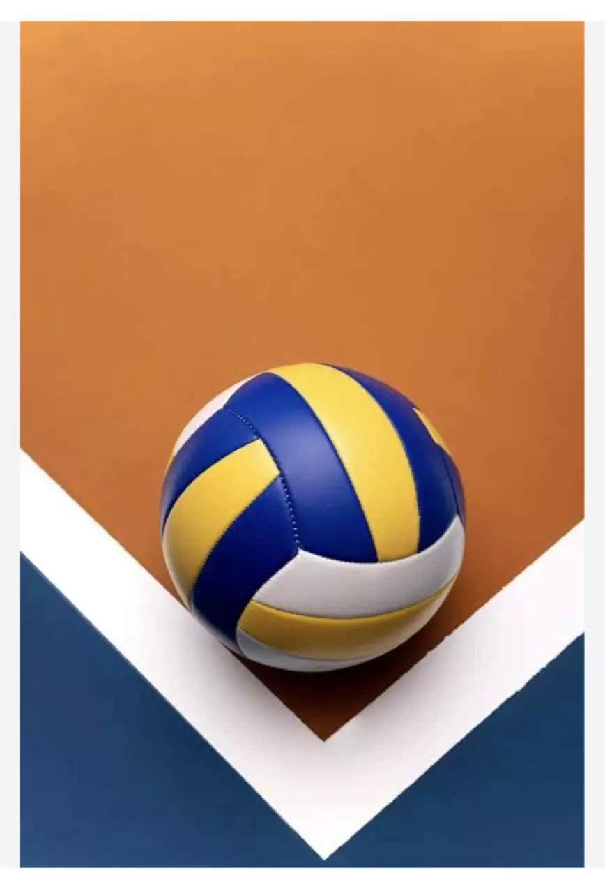 Your Setter thumbnail